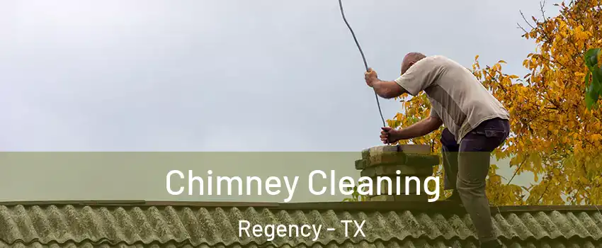 Chimney Cleaning Regency - TX