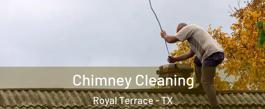 Chimney Cleaning Royal Terrace - TX