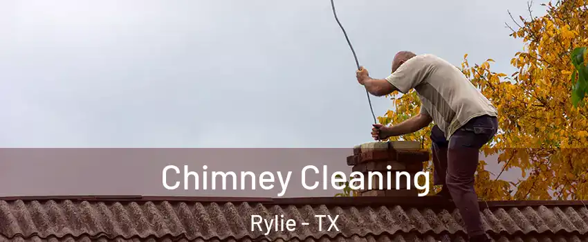 Chimney Cleaning Rylie - TX
