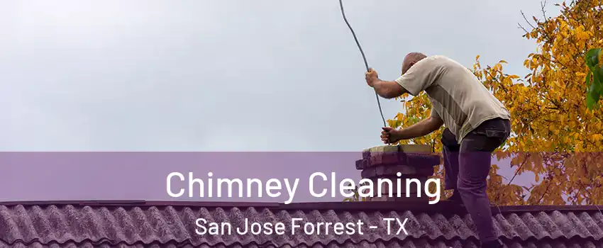 Chimney Cleaning San Jose Forrest - TX