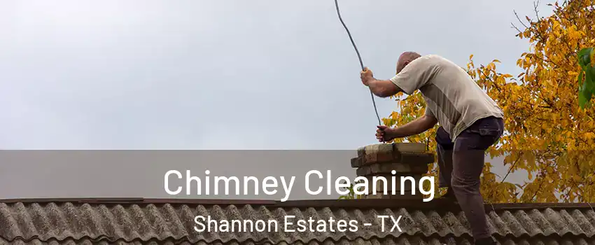 Chimney Cleaning Shannon Estates - TX