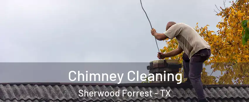 Chimney Cleaning Sherwood Forrest - TX