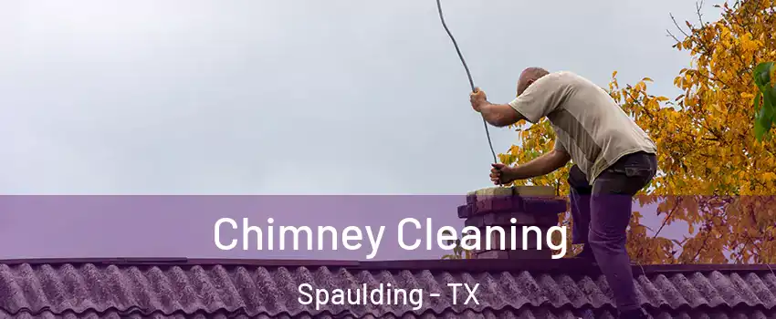 Chimney Cleaning Spaulding - TX