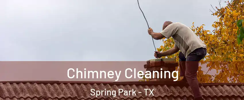 Chimney Cleaning Spring Park - TX
