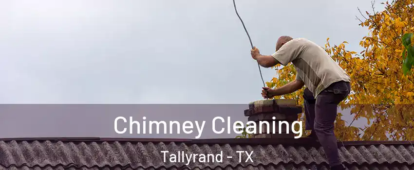 Chimney Cleaning Tallyrand - TX