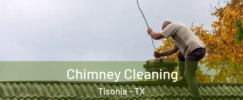 Chimney Cleaning Tisonia - TX