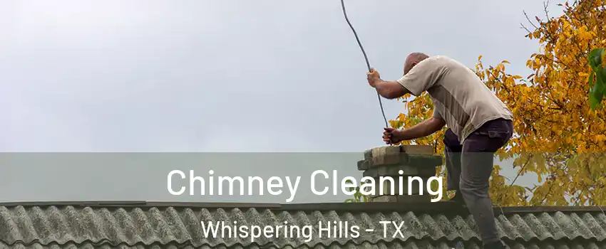 Chimney Cleaning Whispering Hills - TX