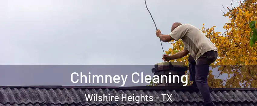 Chimney Cleaning Wilshire Heights - TX