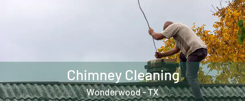 Chimney Cleaning Wonderwood - TX