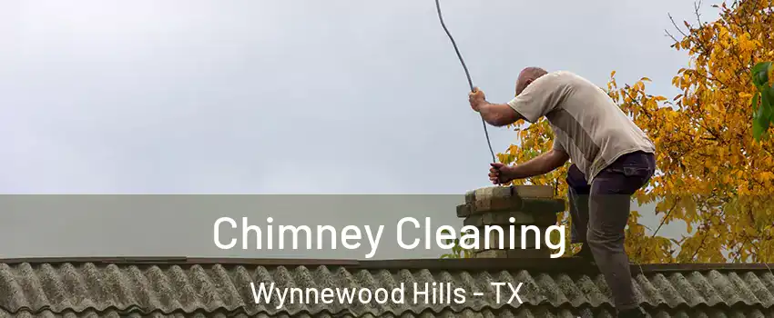Chimney Cleaning Wynnewood Hills - TX