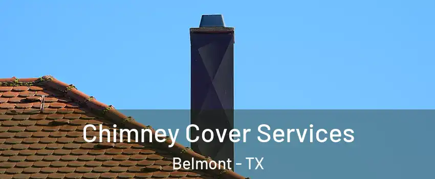 Chimney Cover Services Belmont - TX