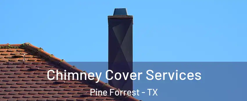 Chimney Cover Services Pine Forrest - TX