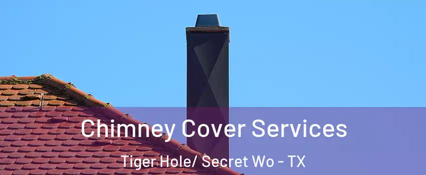 Chimney Cover Services Tiger Hole/ Secret Wo - TX