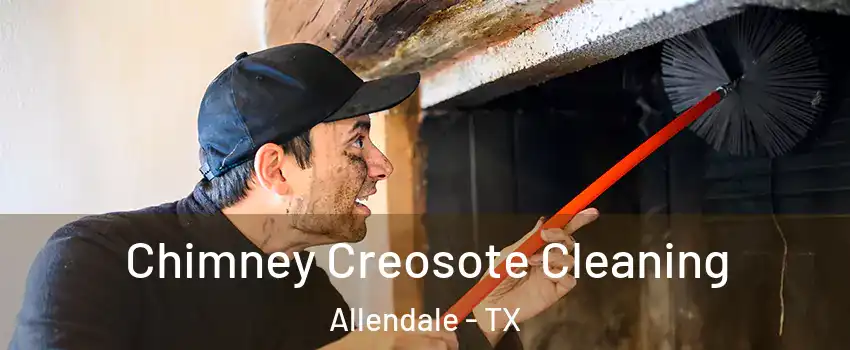 Chimney Creosote Cleaning Allendale - TX