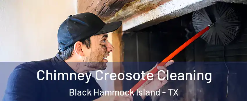 Chimney Creosote Cleaning Black Hammock Island - TX