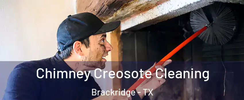 Chimney Creosote Cleaning Brackridge - TX