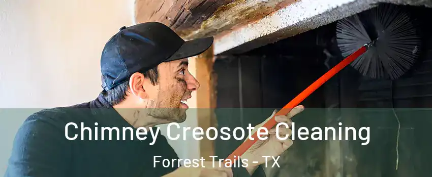 Chimney Creosote Cleaning Forrest Trails - TX