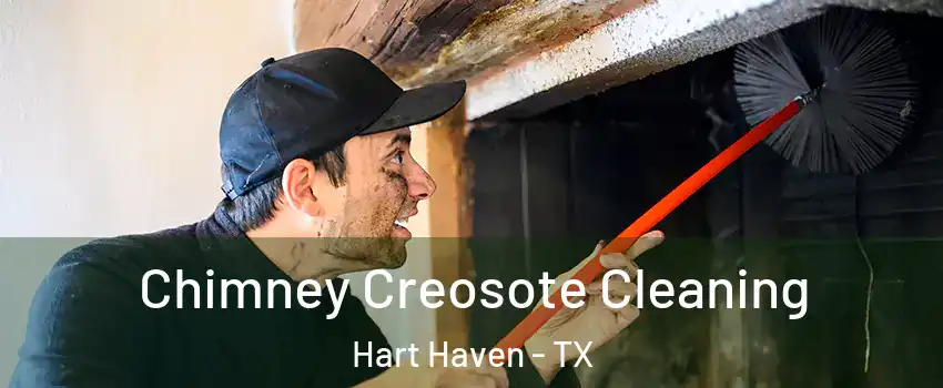 Chimney Creosote Cleaning Hart Haven - TX