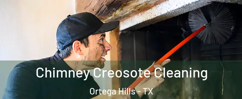 Chimney Creosote Cleaning Ortega Hills - TX