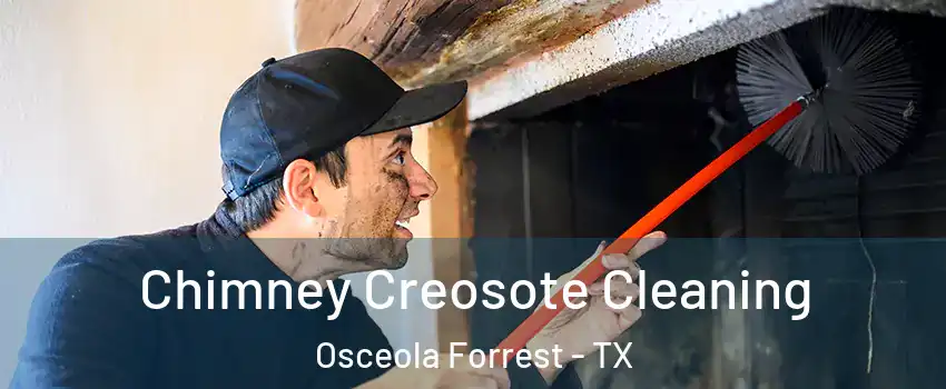 Chimney Creosote Cleaning Osceola Forrest - TX