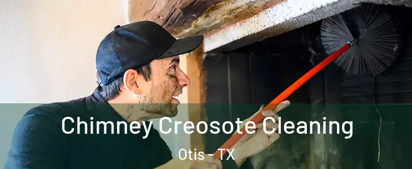 Chimney Creosote Cleaning Otis - TX