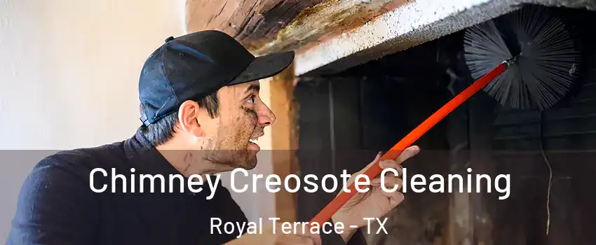 Chimney Creosote Cleaning Royal Terrace - TX