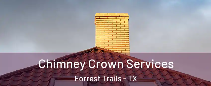 Chimney Crown Services Forrest Trails - TX