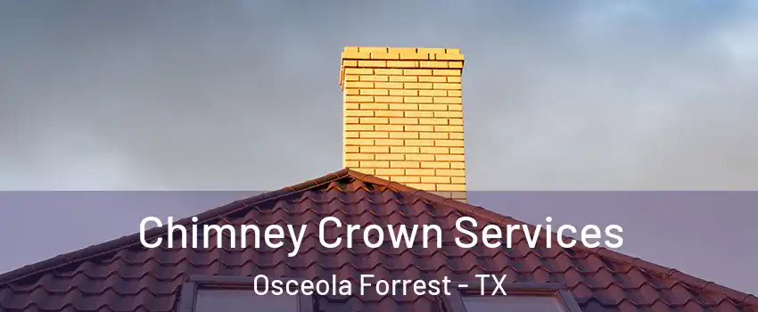 Chimney Crown Services Osceola Forrest - TX