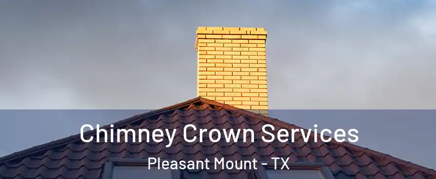 Chimney Crown Services Pleasant Mount - TX