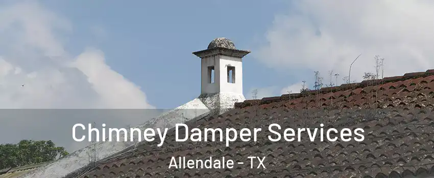 Chimney Damper Services Allendale - TX