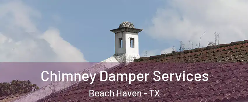 Chimney Damper Services Beach Haven - TX