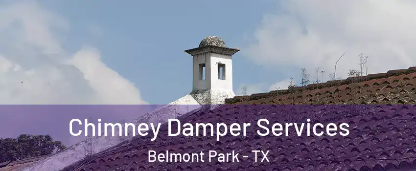 Chimney Damper Services Belmont Park - TX