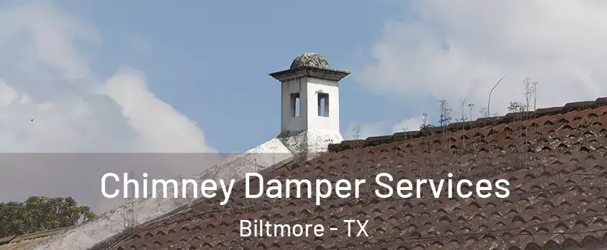 Chimney Damper Services Biltmore - TX