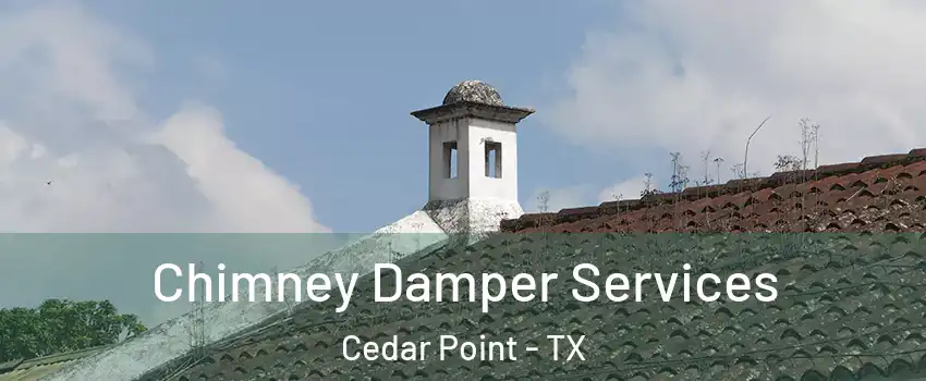 Chimney Damper Services Cedar Point - TX