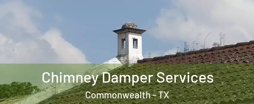 Chimney Damper Services Commonwealth - TX