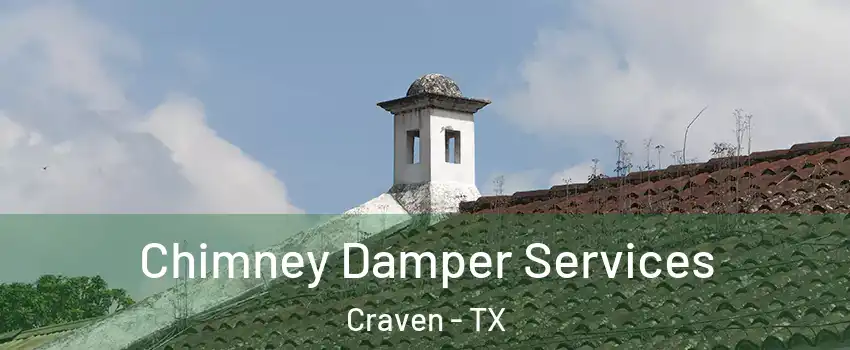 Chimney Damper Services Craven - TX