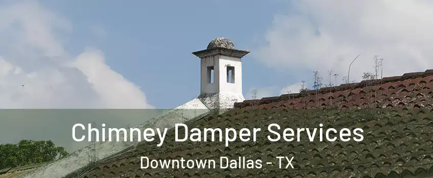 Chimney Damper Services Downtown Dallas - TX