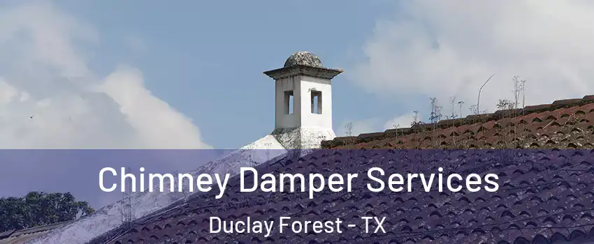 Chimney Damper Services Duclay Forest - TX