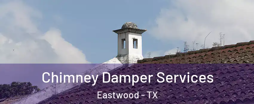 Chimney Damper Services Eastwood - TX