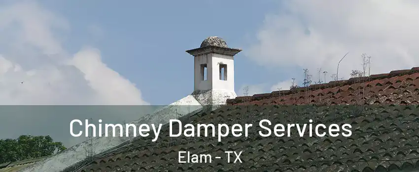 Chimney Damper Services Elam - TX