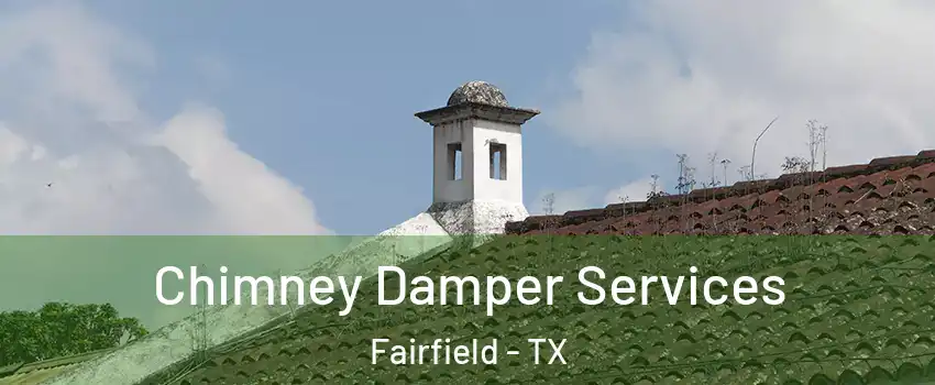 Chimney Damper Services Fairfield - TX