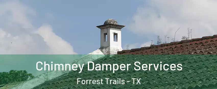 Chimney Damper Services Forrest Trails - TX
