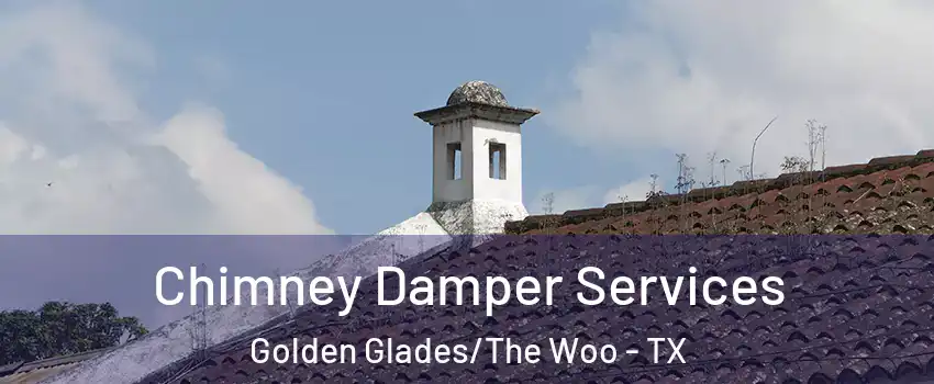 Chimney Damper Services Golden Glades/The Woo - TX