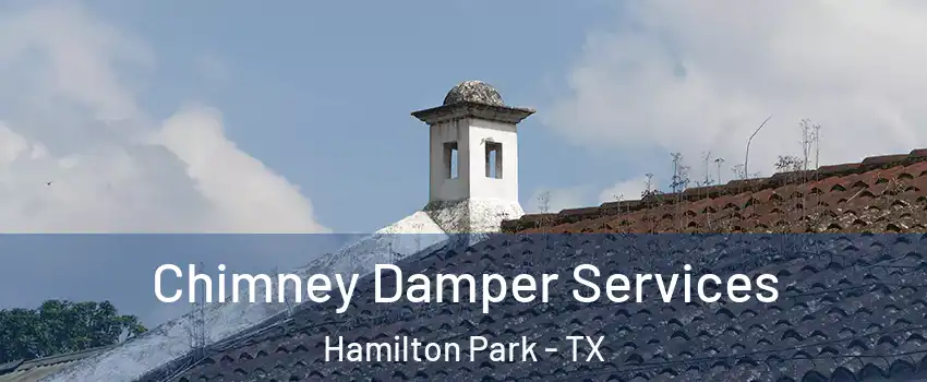 Chimney Damper Services Hamilton Park - TX