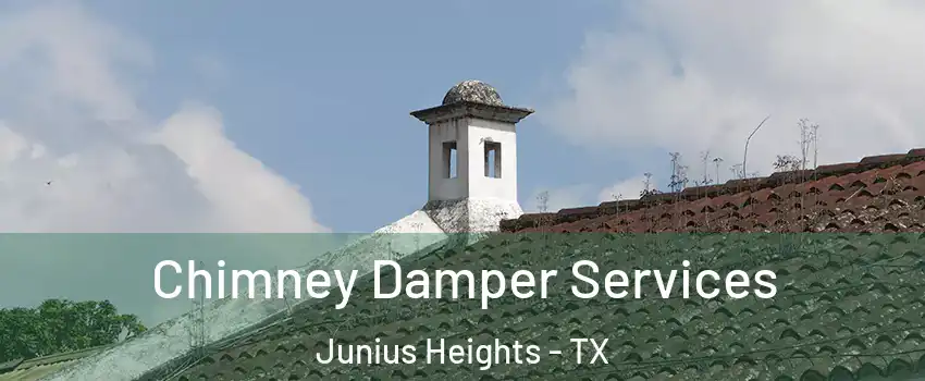 Chimney Damper Services Junius Heights - TX