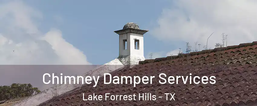 Chimney Damper Services Lake Forrest Hills - TX