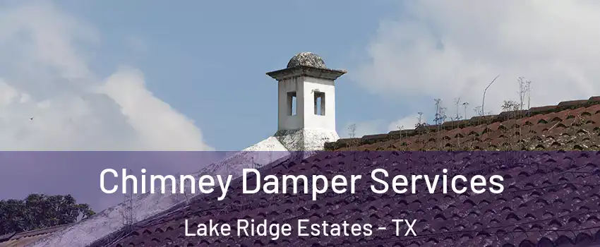 Chimney Damper Services Lake Ridge Estates - TX
