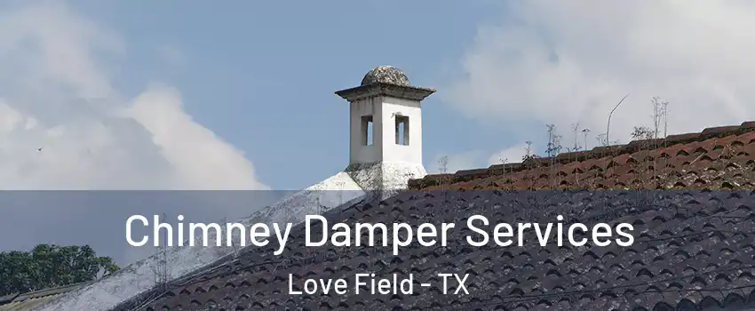 Chimney Damper Services Love Field - TX