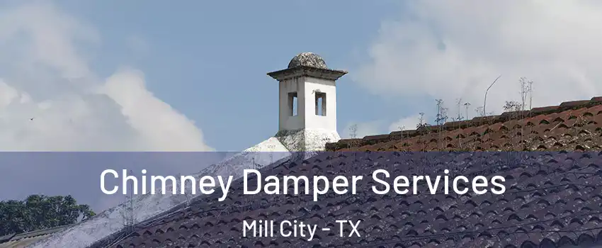 Chimney Damper Services Mill City - TX