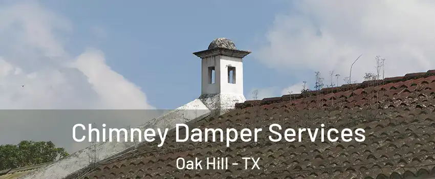 Chimney Damper Services Oak Hill - TX